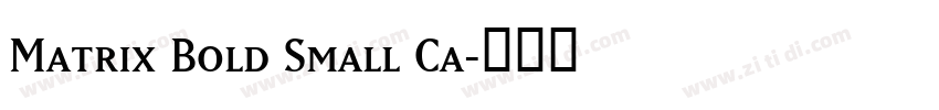 Matrix Bold Small Ca字体转换